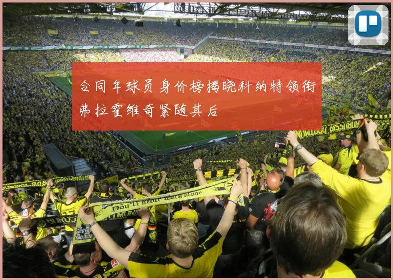 合同年球员身价榜揭晓科纳特领衔弗拉霍维奇紧随其后