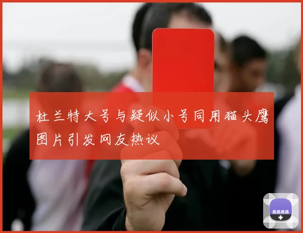 杜兰特大号与疑似小号同用猫头鹰图片引发网友热议